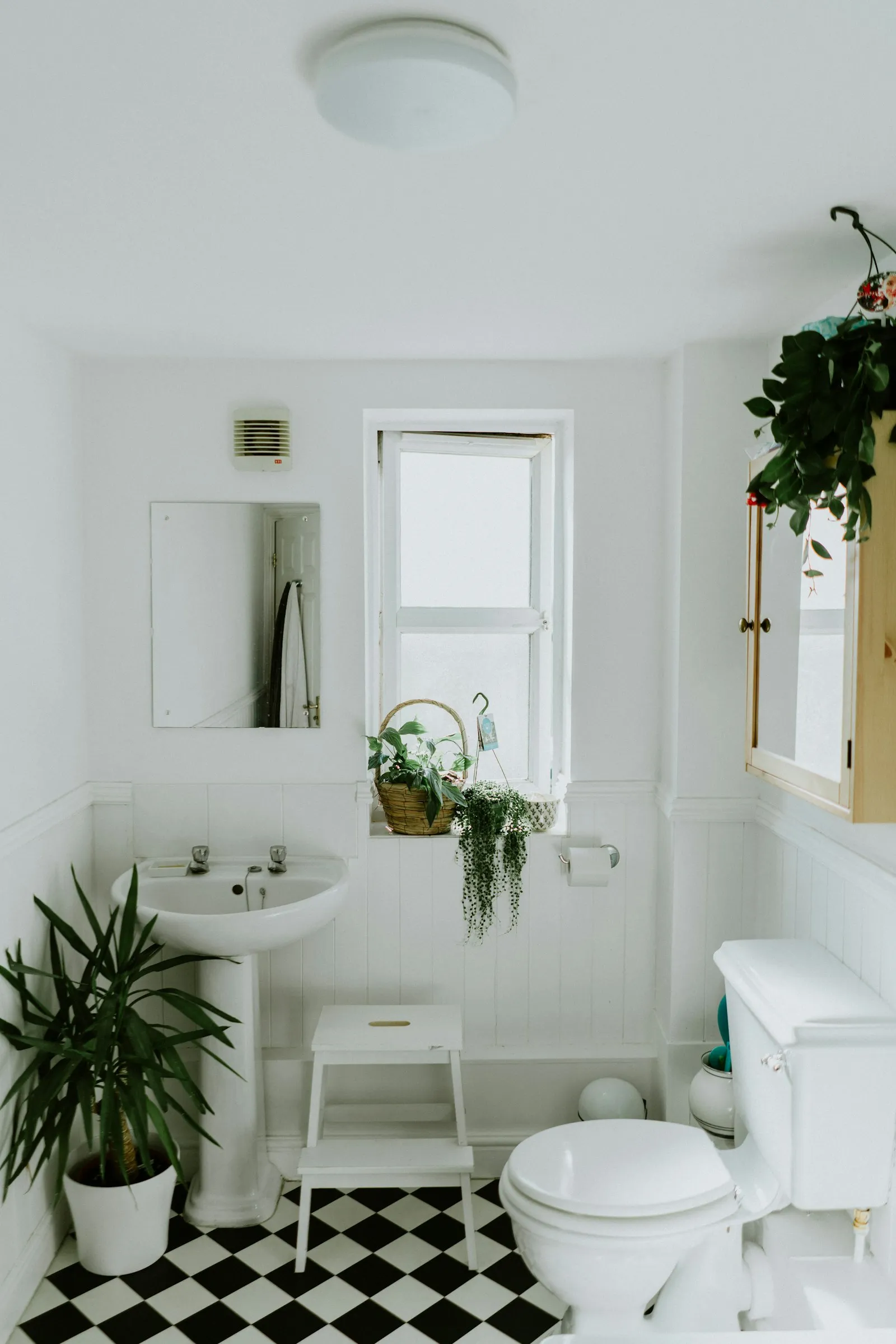 Baño reformado con plato de ducha y alicatado claro